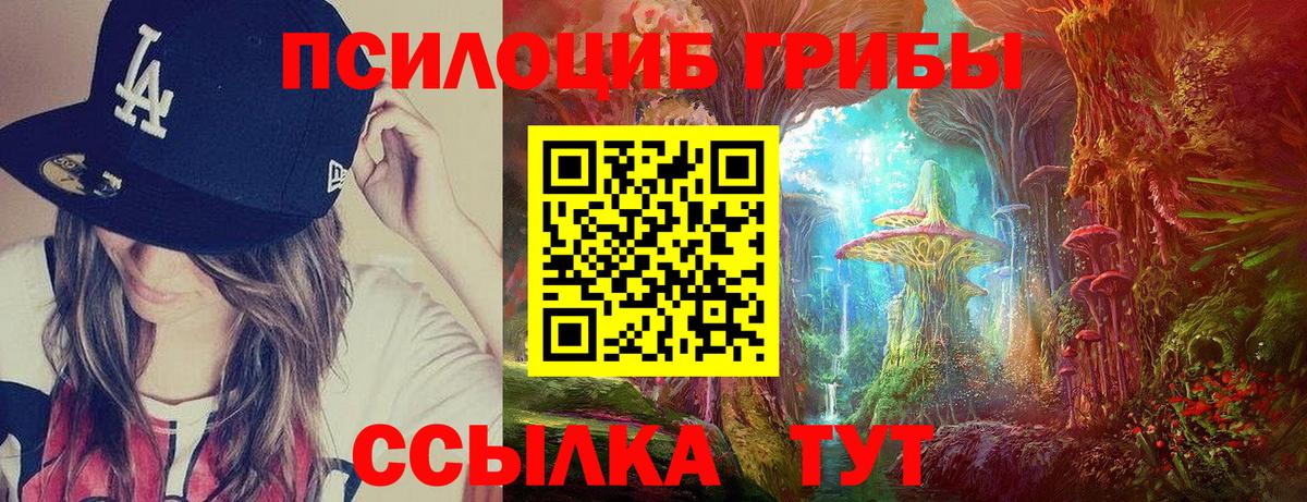 Псилоцибиновые грибы мицелий Кандалакша
